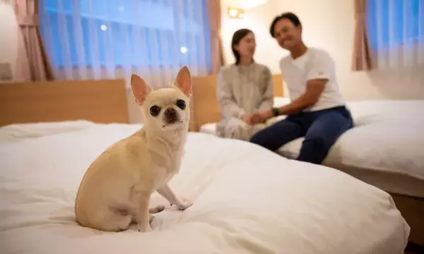 【日本初※！】with Dogs club(ウィズドッグスクラブ)からのクリスマスサプライズ！ホテル フォレストヒルズ那須に、フィンランドから“本物のサンタさん”がプレゼントを持ってお部屋にやってくる！