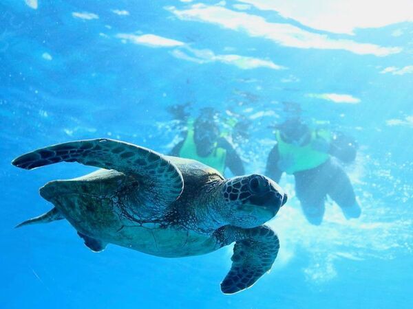 ハワイで働きたい方に朗報！15周年スペシャルキャンペーンの追加開催決定！