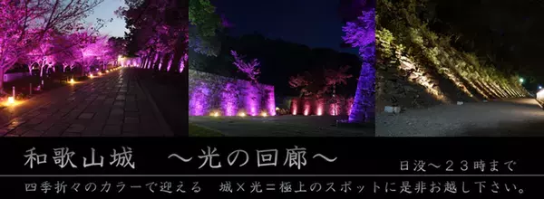 名勝・西之丸庭園を歩く紅葉と光に包まれる秋のひととき写真映え間違いなしの、秋限定ビュースポット！