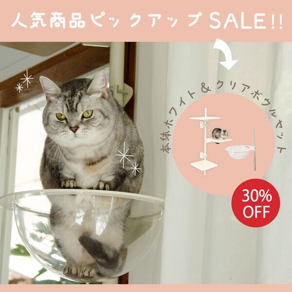 窓枠につけるキャットタワー！「ねこゴロン」シリーズ　売れ筋商品が30％OFF！お得なセールを11/20(木)～期間限定開催