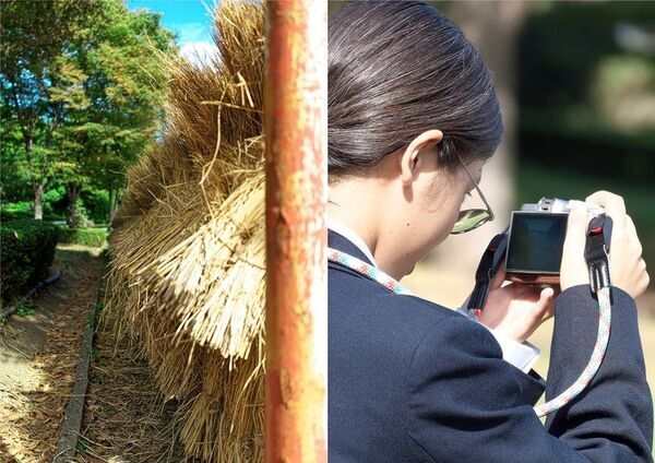 東京・町田市「秋遊び2025」開催中！～秋の夜を彩る、幻想的な雲海と紅葉ライトアップ～