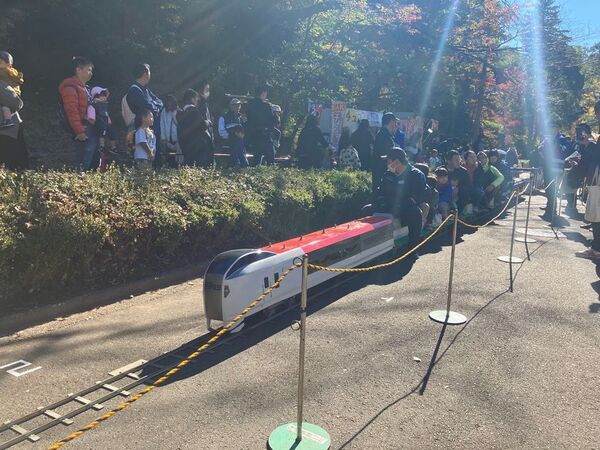 東京・町田市「秋遊び2025」開催中！～秋の夜を彩る、幻想的な雲海と紅葉ライトアップ～