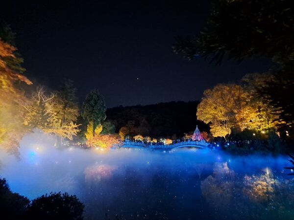 東京・町田市「秋遊び2025」開催中！～秋の夜を彩る、幻想的な雲海と紅葉ライトアップ～