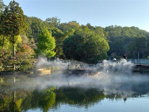東京・町田市「秋遊び2025」開催中！～秋の夜を彩る、幻想的な雲海と紅葉ライトアップ～