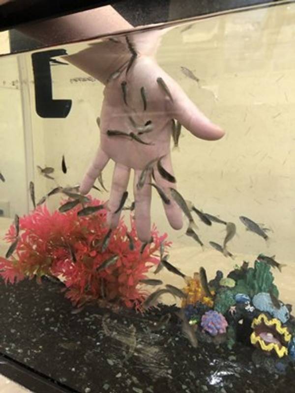 岐阜県岐南町・お風呂とサウナのエンタメ施設「湯どころみのり」が「年末年始ご愛顧感謝キャンペーン」を12月27日から1月4日まで開催！