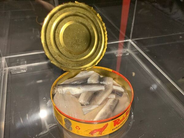 「におい展」東京で開催！東京スカイツリー(R)で2025年12月11日から！