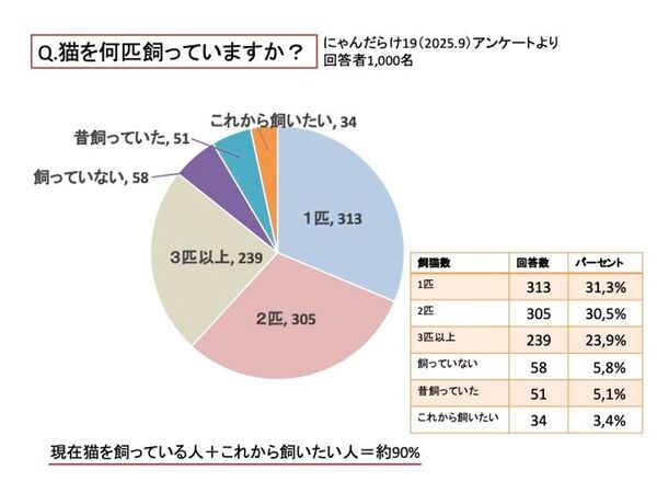 2026年は猫好きさんの祭典「にゃんだらけ」10周年！記念すべき第20回開催の出展者募集が11月17日スタート