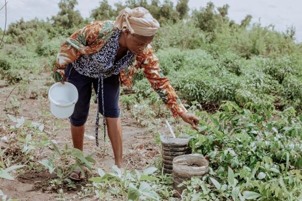 BSIグループジャパン（英国規格協会）、『レインフォレスト・アライアンス認証』解説動画シリーズ完結編――実務担当者必見の最終章をWebで公開