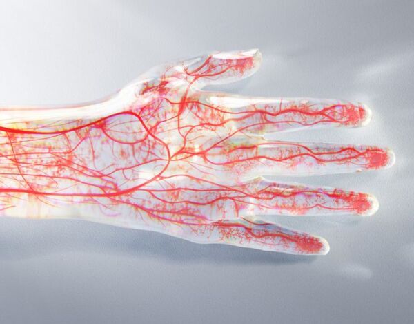 24時間リカバリーウェア「ReD(レッド)」アトレ大森に直営三号店をオープン