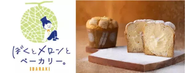 ＼もっちり“生”食感？！進化系メロンパン誕生／道の駅常総・世界記録を持つ「ぼくとメロンとベーカリー。」から新感覚メロンパン「ぼくの生メロンパン」が11/20新登場