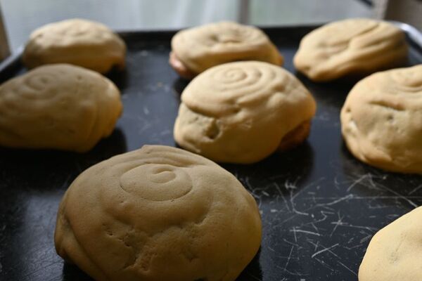 ＼もっちり“生”食感？！進化系メロンパン誕生／道の駅常総・世界記録を持つ「ぼくとメロンとベーカリー。」から新感覚メロンパン「ぼくの生メロンパン」が11/20新登場