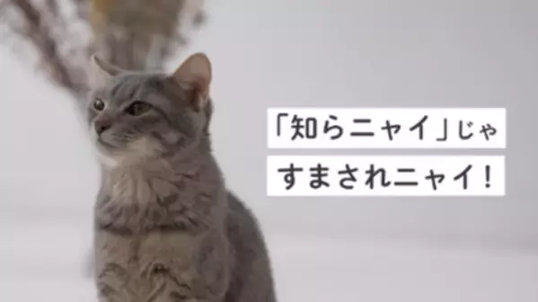 ～九都県市連携企画～　事業者への「プラスチックごみの分別啓発」を共同で行います