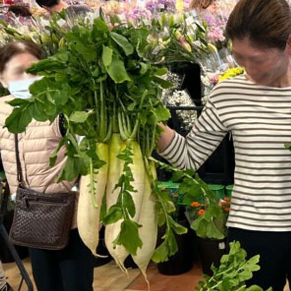 ＜道の駅おがわまち＞11月22日～24日・29日・30日の限定開催！ネギで、ネギらう、ネギ尽くしの5日間【埼玉県産深谷ねぎ大収穫祭】