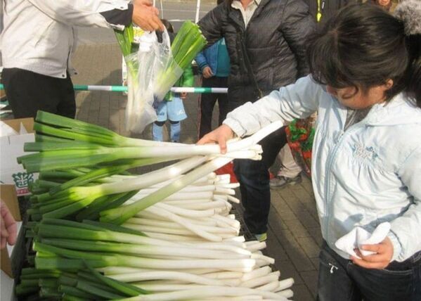 ＜道の駅おがわまち＞11月22日～24日・29日・30日の限定開催！ネギで、ネギらう、ネギ尽くしの5日間【埼玉県産深谷ねぎ大収穫祭】