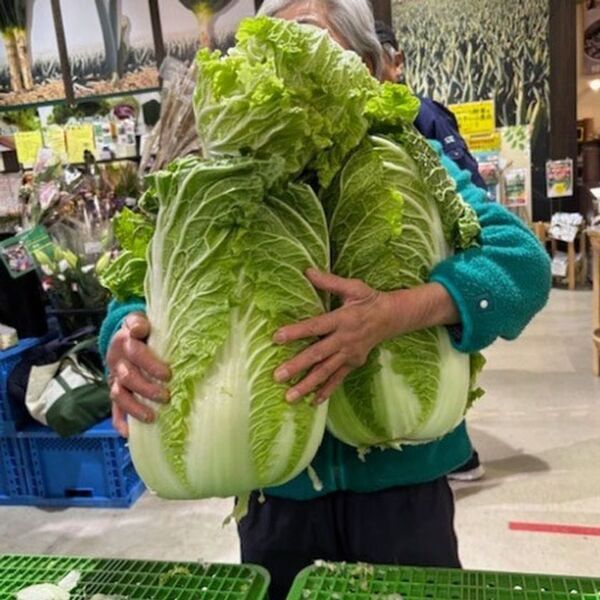 ＜道の駅おがわまち＞11月22日～24日・29日・30日の限定開催！ネギで、ネギらう、ネギ尽くしの5日間【埼玉県産深谷ねぎ大収穫祭】