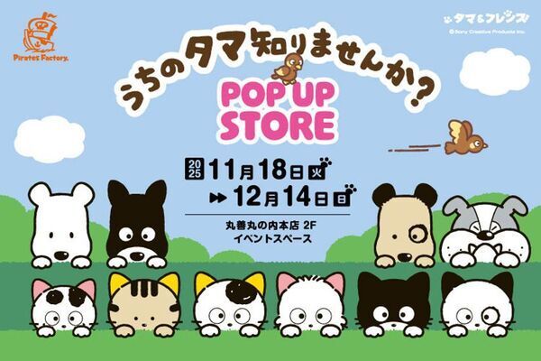 11月18日(火)より期間限定！「タマ＆フレンズ POP UP STORE」が丸善丸の内本店で開催！ーサンリオキャラクターズとのコラボグッズも！ー
