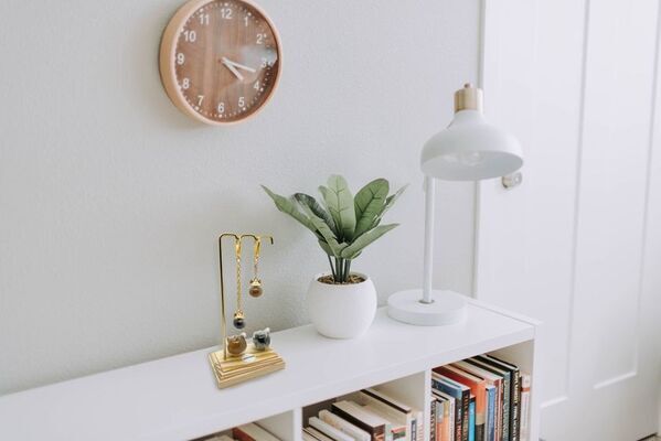 「ねこビン」が大分県の保護猫カフェと連携　毛を“想い出”として詰めて贈る、新しい里親支援のかたち