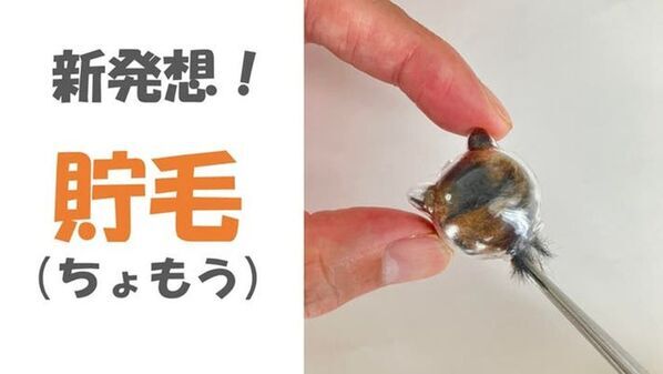 「ねこビン」が大分県の保護猫カフェと連携　毛を“想い出”として詰めて贈る、新しい里親支援のかたち