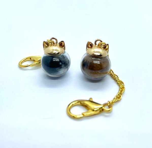 「ねこビン」が大分県の保護猫カフェと連携　毛を“想い出”として詰めて贈る、新しい里親支援のかたち