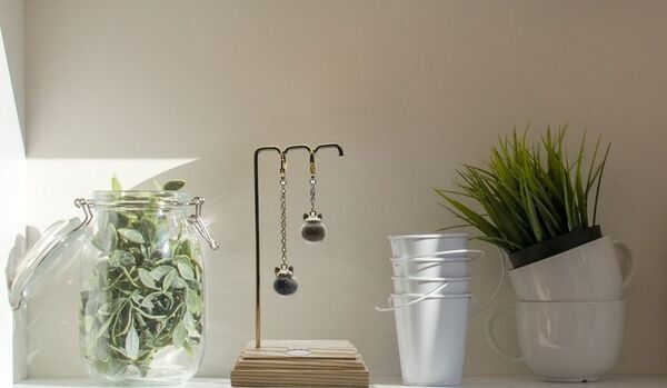 「ねこビン」が大分県の保護猫カフェと連携　毛を“想い出”として詰めて贈る、新しい里親支援のかたち