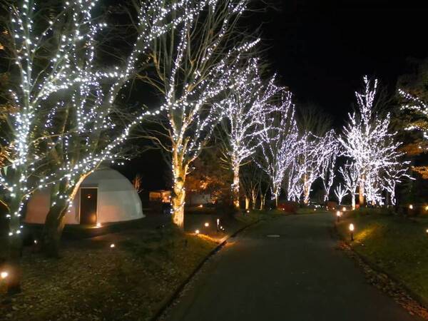 グランピングリゾート ブリリアントヴィレッジ日光　まもなく開業3周年！4万球のLEDが灯る「イルミネーションナイト2025」11月29日より点灯開始！