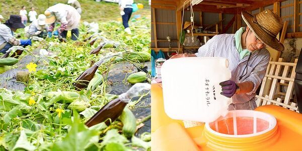 あえて「成分を減らす」という選択を　肌トラブルの時代に応える国産オーガニック化粧水