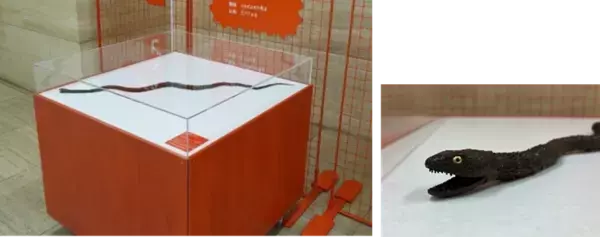 自在置物のヘビが動き出す！文理融合型の展示キット「ふしぎなヘビ」貸し出し申し込みの募集を開始いたします