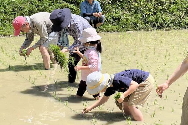 都心から約90分の“日本の原風景”千葉・鴨川の里山エリアで楽しむ　古民家宿＆カフェ5選