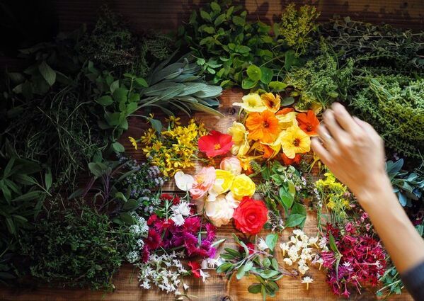 都心から約90分の“日本の原風景”千葉・鴨川の里山エリアで楽しむ　古民家宿＆カフェ5選