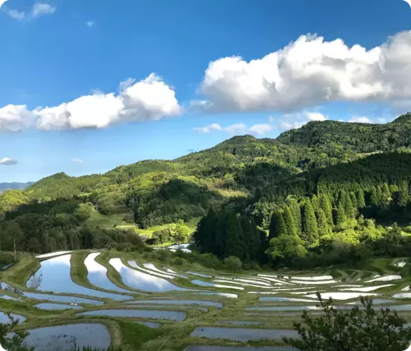 都心から約90分の“日本の原風景”千葉・鴨川の里山エリアで楽しむ　古民家宿＆カフェ5選