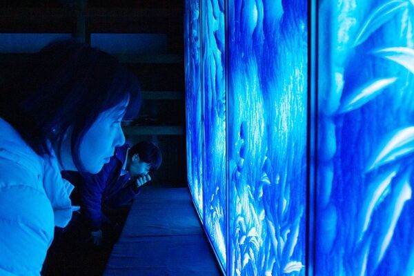 京都の妙心寺でライトアップイベント12/15～25開催　世界で唯一の光彫りアーティストゆるかわふうとコラボ