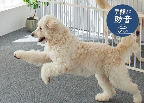 【家族のお悩み解決】お家専用タイルカーペット12月1日発売！