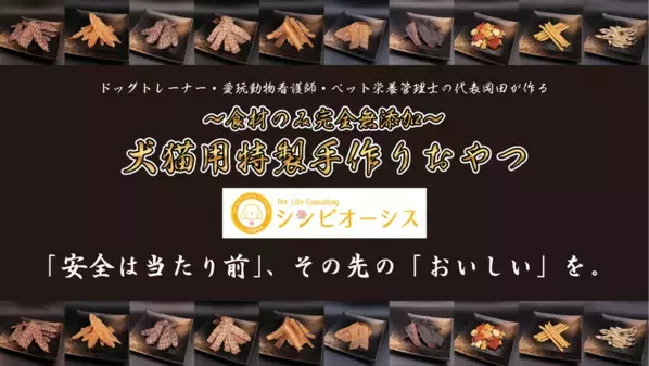 犬猫の“買い物・相談・健康管理”をワンストップで提供するオンラインショップがリニューアル！