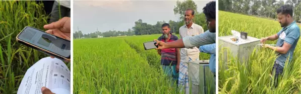 両備システムズ、バングラデシュにおける農業DX実証事業の成果を現地政府等へ報告