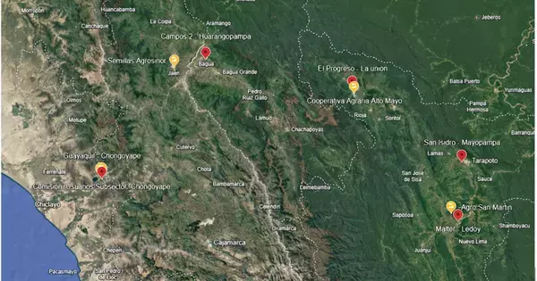 ペルーの水稲生産における病害管理プロジェクトに「e-kakashi」が採用