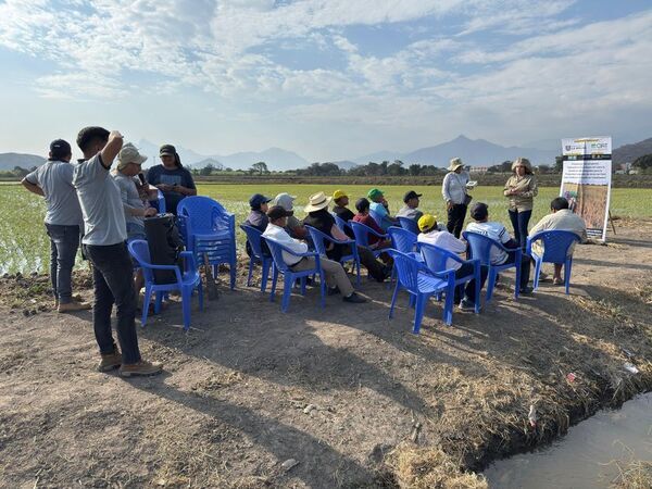 ペルーの水稲生産における病害管理プロジェクトに「e-kakashi」が採用