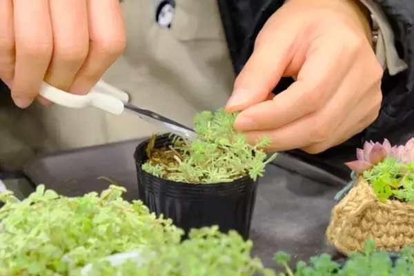 合計で約1,100ブースが出店！好奇心が刺激される特別な2日間「名古屋ハンドメイドマルシェ2026」1/31(土)・2/1(日)開催