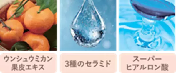 40代以上の妻、約7割が悩む“夫の体臭問題”に終止符！汗臭・加齢臭を抑える『薬用 体臭対策ボディソープ』がパワーアップして新登場！