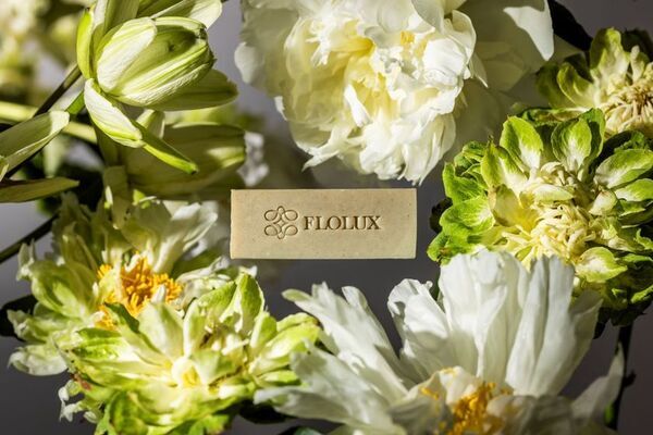アートが息づく上質な日常をあなたに、FLOLUX 誕生。