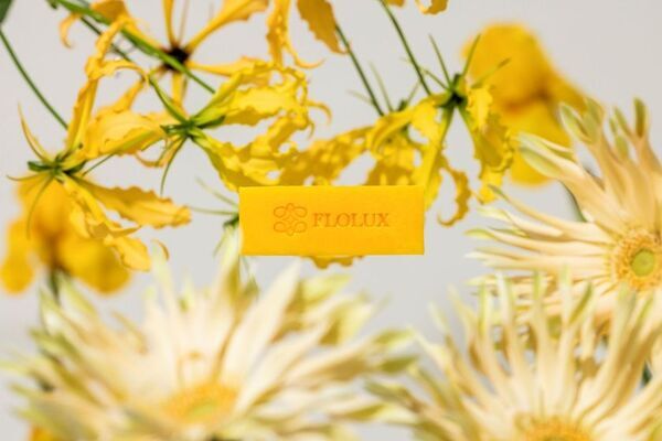 アートが息づく上質な日常をあなたに、FLOLUX 誕生。