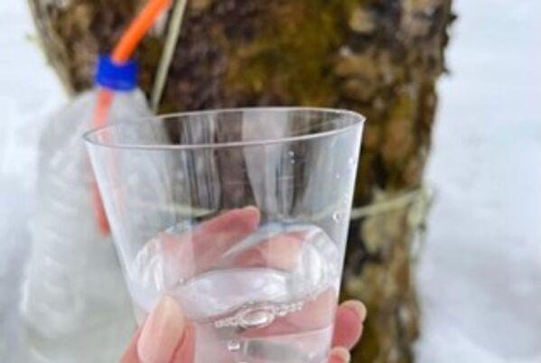 冬にしか見られない一面の銀世界　魚沼市のおすすめ冬のスノーアクティビティ3選