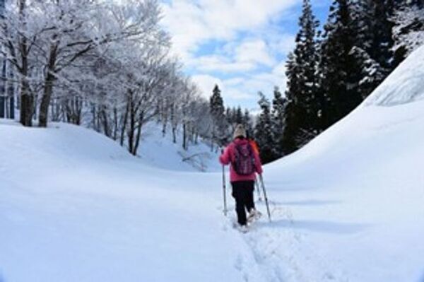 冬にしか見られない一面の銀世界　魚沼市のおすすめ冬のスノーアクティビティ3選