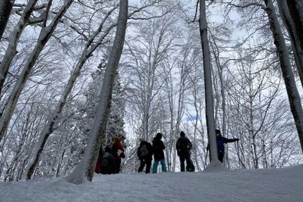 冬にしか見られない一面の銀世界　魚沼市のおすすめ冬のスノーアクティビティ3選