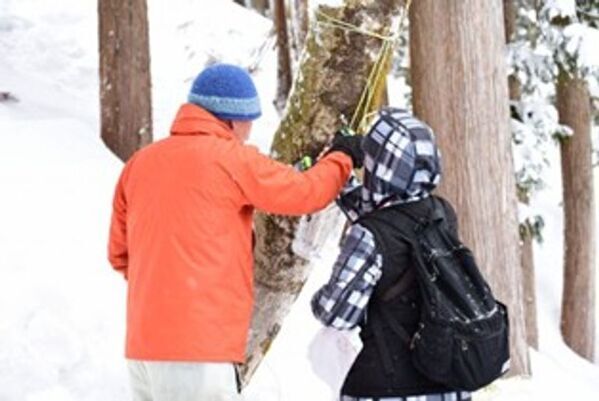 冬にしか見られない一面の銀世界　魚沼市のおすすめ冬のスノーアクティビティ3選