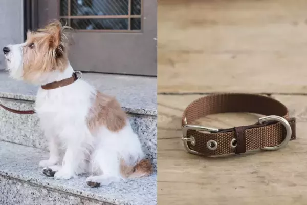 12月10日は「ベルトの日」！人気ファッションインフルエンサーYokoさんと作る、特別なベルトプレゼントキャンペーンを開催