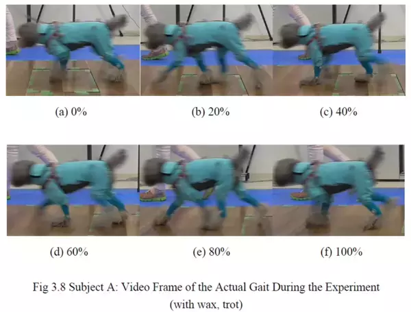 リンレイ×関西学院大学×Kyoto AR 動物高度医療センターがペット分野で産学連携！『滑り止め床用コーティング剤』が小型犬の歩行に与える影響を筋骨格*1解析で評価　滑りやすい床面では、シニア犬で筋活動*2の増加を確認