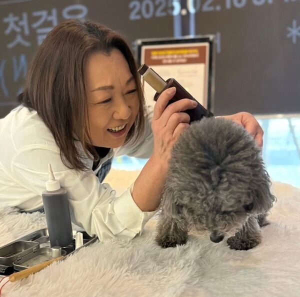 東日本初出店！愛知県スカイエキスポで開催の　わんワンダーフェス＠アイチスカイエキスポに「わんこのおきゅう」で出展