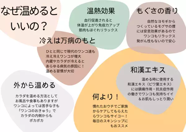 東日本初出店！愛知県スカイエキスポで開催の　わんワンダーフェス＠アイチスカイエキスポに「わんこのおきゅう」で出展