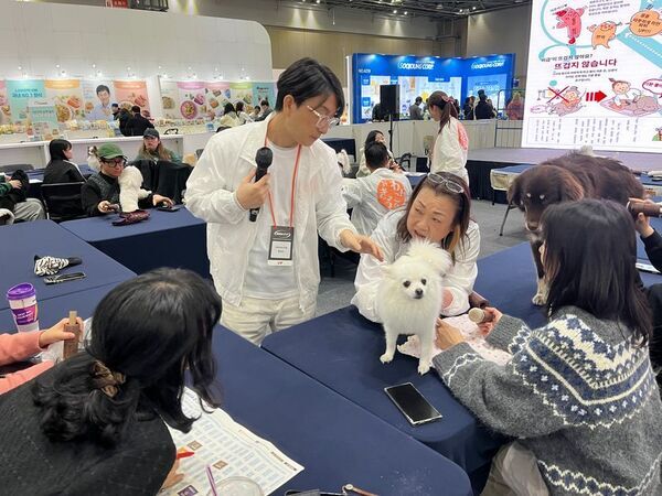 東日本初出店！愛知県スカイエキスポで開催の　わんワンダーフェス＠アイチスカイエキスポに「わんこのおきゅう」で出展