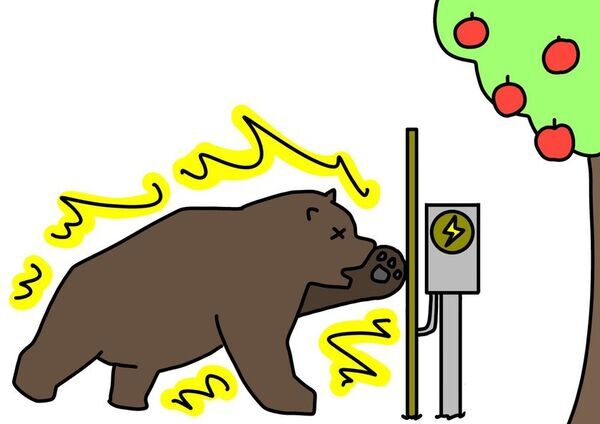 熊風評被害で600人超キャンセルが発生した長野県のグランピング施設が熊対策強化キャンペーンを開始！